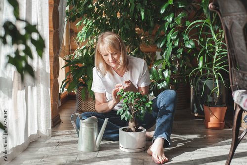 A beautiful blonde woman in beige clothes takes care of a ficus in a white pot. Home gardening and floriculture.