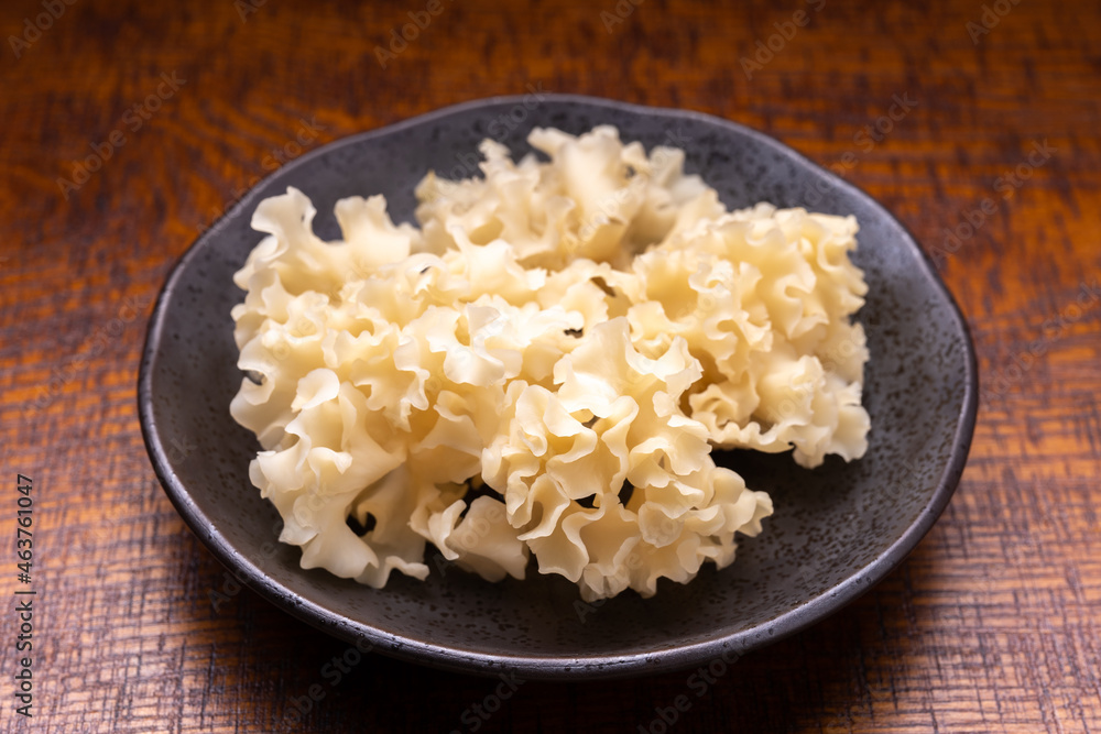 はなびら茸 はなびら茸