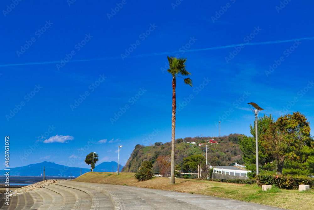 Obraz premium Flying machine clouds and palm trees