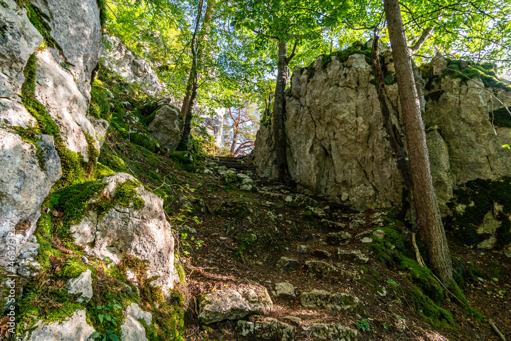 Wonderful autumn hike near Beuron in the Upper Danube Nature Park Wonderful autumn hike near Beuron in the Upper Danube Nature Park