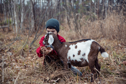 A boy in the forest feeds a goat with leaves.