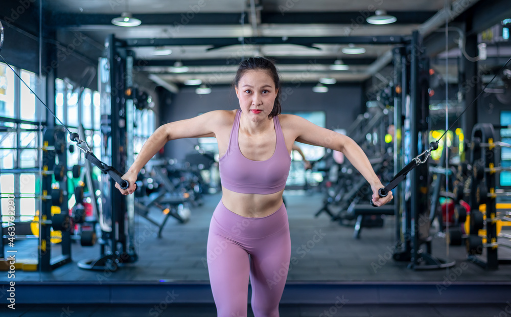 Fototapeta premium Sport fitness athlete woman with sportwear training weightiness equipment at gym for bodybuilding healthy lifestyle concept.