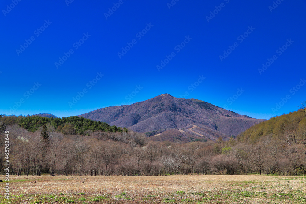New green iizuna Mountain