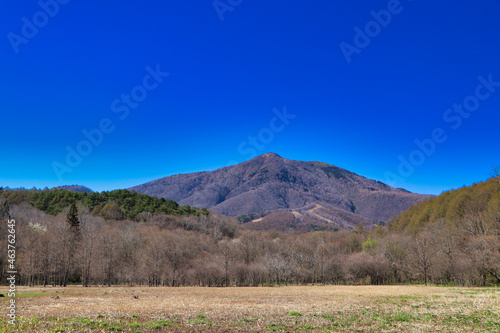 New green iizuna Mountain