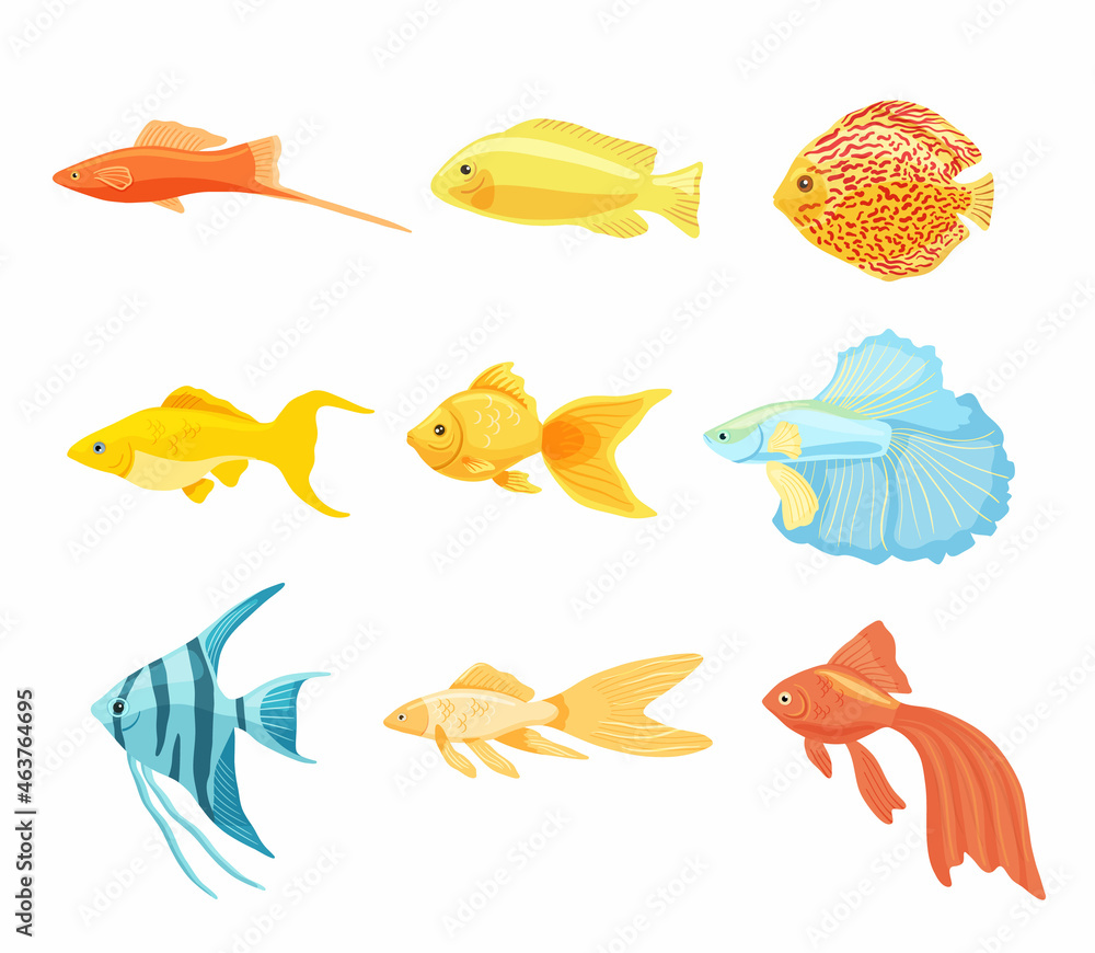 Naklejka premium Set of aquarium fishes clipart. Collection of beautiful unusual domestic fish. Vector illustration in cartoon style is isolated on white background