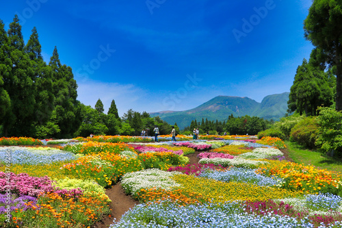 Flower field of the Kuju Hana Park