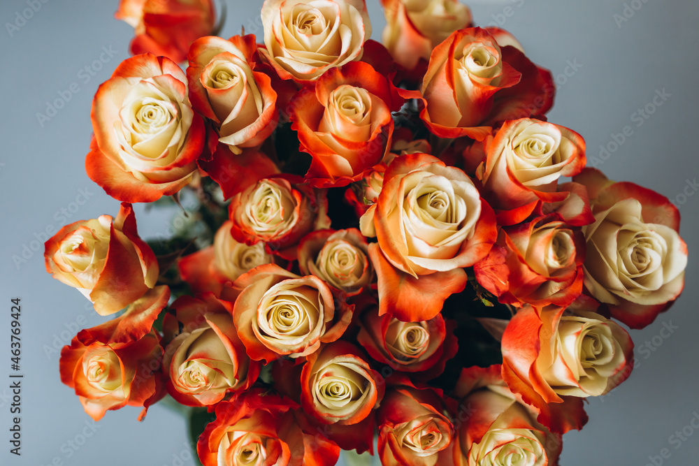 Bouquet of flowers, colorful roses on isolated background