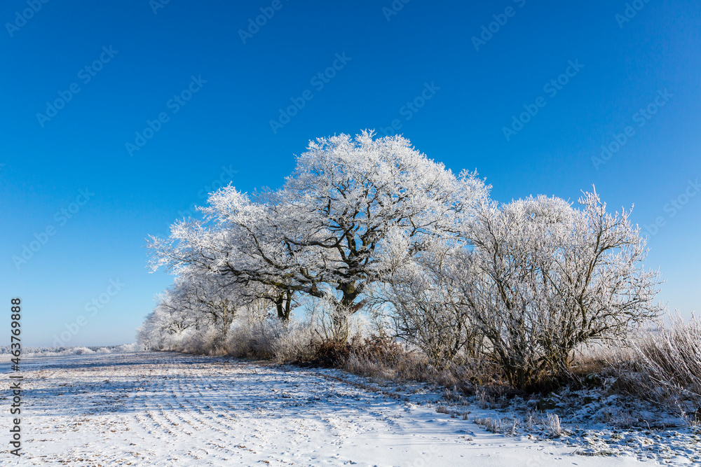 Winter Idyll In The North Of Germany