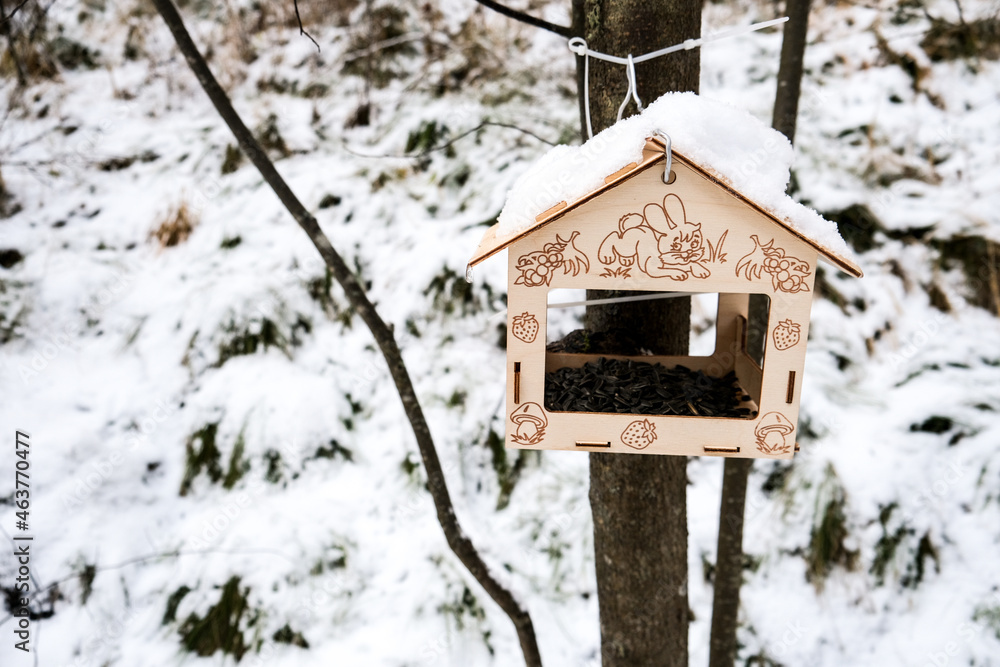 birdhouse in the winter forest