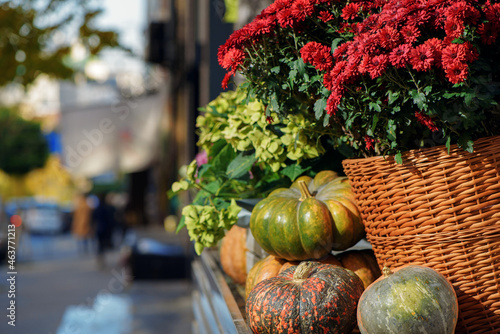 Autumn decoration with pumpkins and flowers in wicker baskets near flower shop on street of European city. Halloween and Thanksgiving holidays concept. Festive mood.