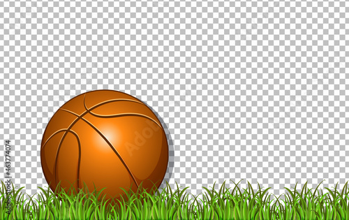Basketball and grass on transparent background