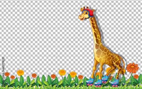 Giraffe wearing roller shoes shoes on transparent background