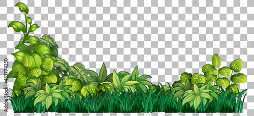 Grass and plants on transparent background for decor