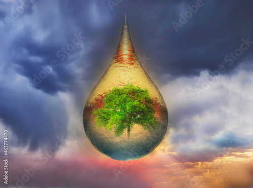 a tree inside a raindrop against the background of a stormy sky