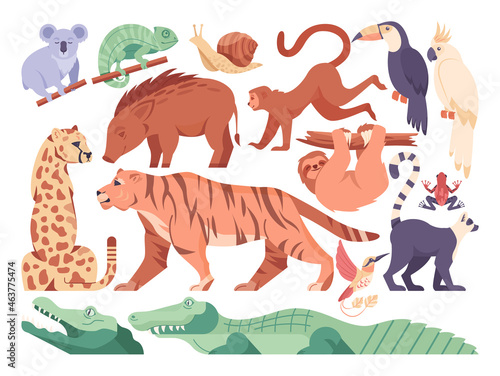 Exotic animal set. Collection of exotic and wild animals. Jungle creatures