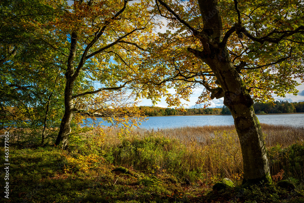autumn in the park autumn in the park