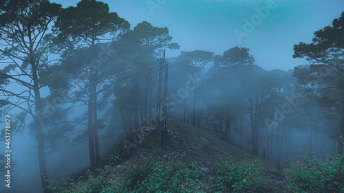 misty mountain in nainital uttarakhand photo