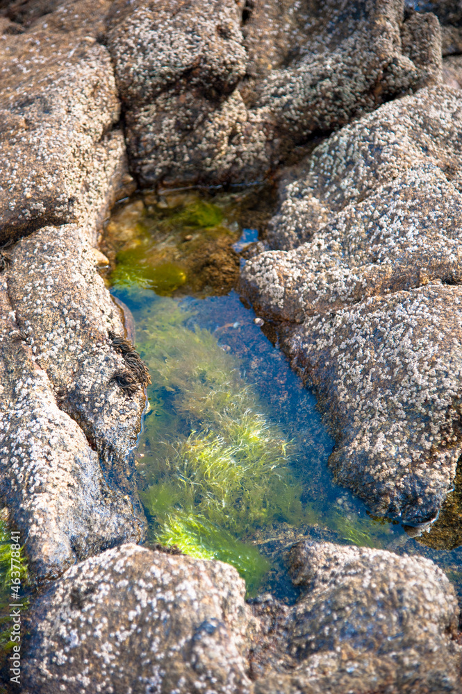 water in rocks