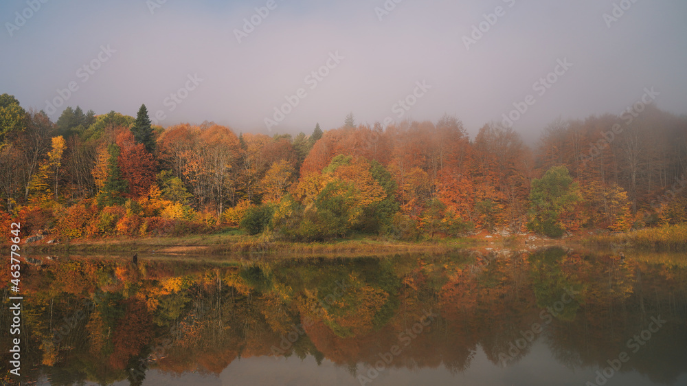 Autumn colors near the lake Autumn colors near the lake