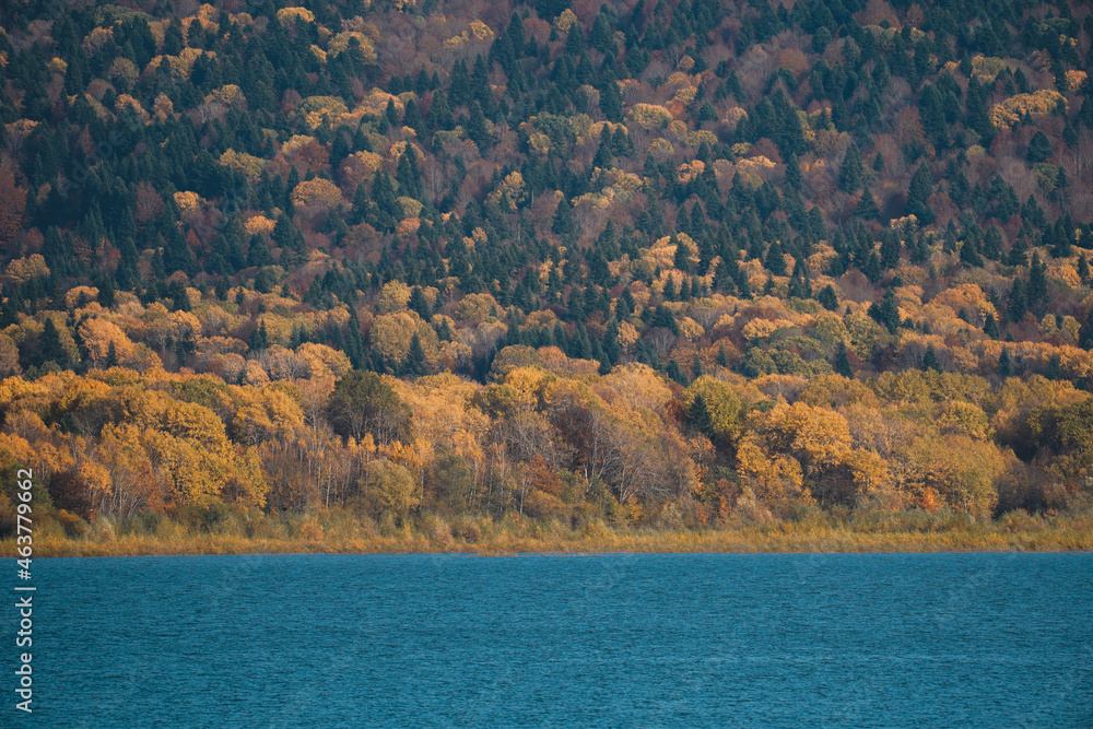 Autumn colors near the lake