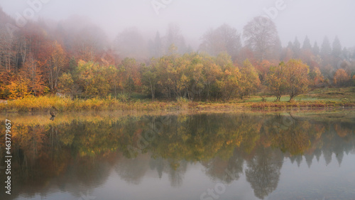 Autumn colors near the lake