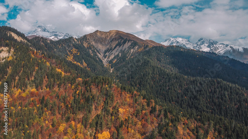 Autumn in the mountain forest. Autumn colors in forest aerial view. © george