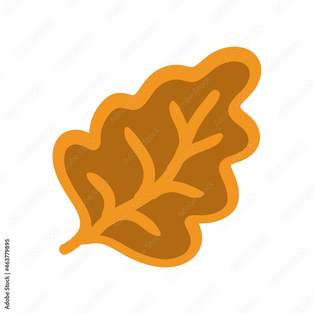 Oak tree leaf on white background Oak tree leaf on white background