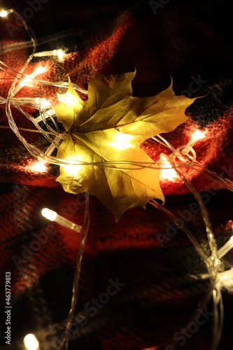 Autumn decorations with yellow leaves and festoon lights photo