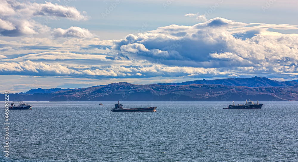 Fishing seiners and cargo ships in Avacha Bay in Kamchatka peninsula