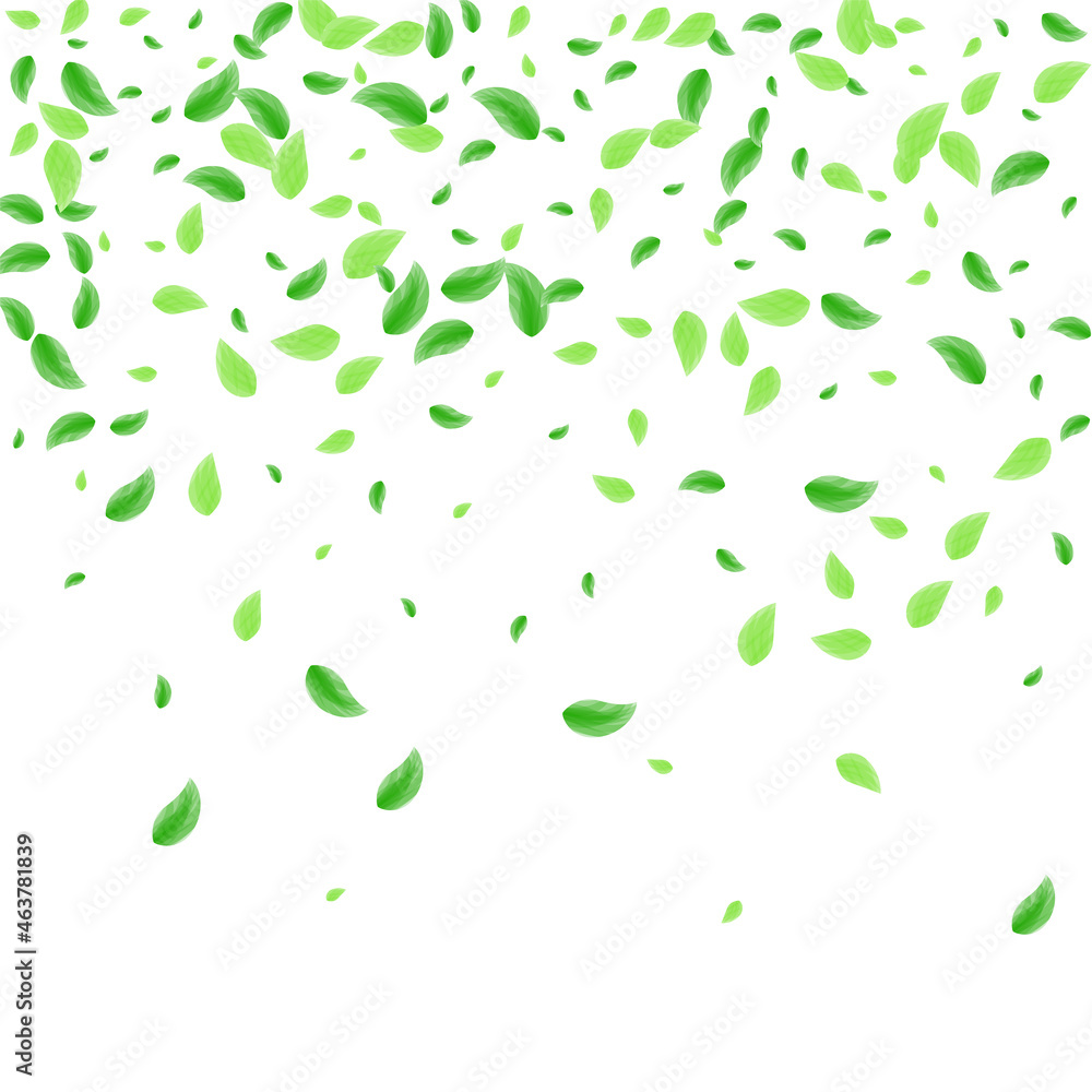 Green Greenery Background White Vector. Leaf Ecology Texture. Eco Card. Light Green Pure Frame. Sheet Copy. Green Greenery Background White Vector. Leaf Ecology Texture. Eco Card. Light Green Pure Frame. Sheet Copy.