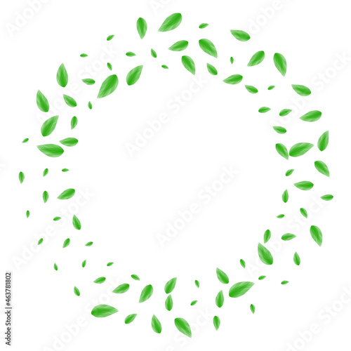 Light Green Leaf Background White Vector. Leaves Shape Card. Refreshing Illustration. Green Life Texture. Sheet Delicate.