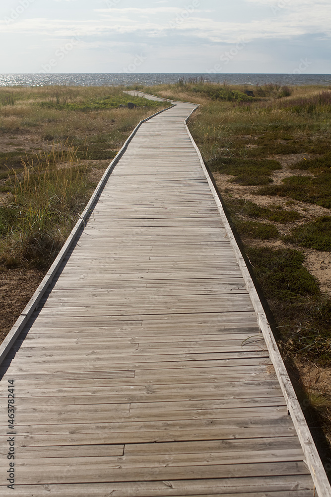 Boardwalk To The Sand Dunes