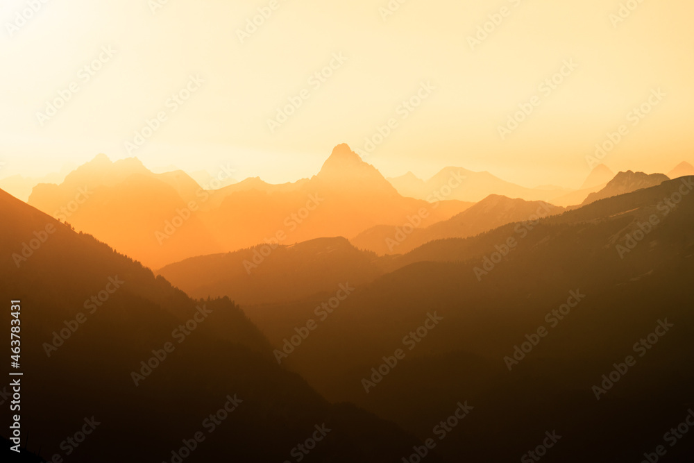 Panorama des Alpes Suisses à la golden hour.