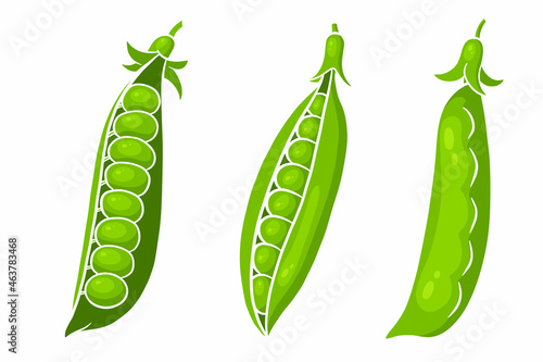 Peas set. Closed and open green pea pods.