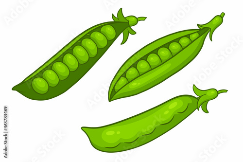 Peas set. Closed and open green pea pods.