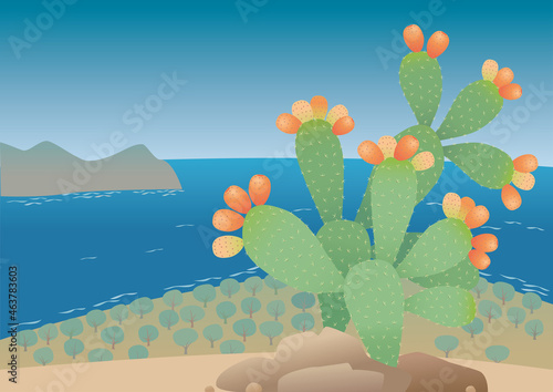 Opuntia. Prickly pear plant with fruits on the sea shore. photo