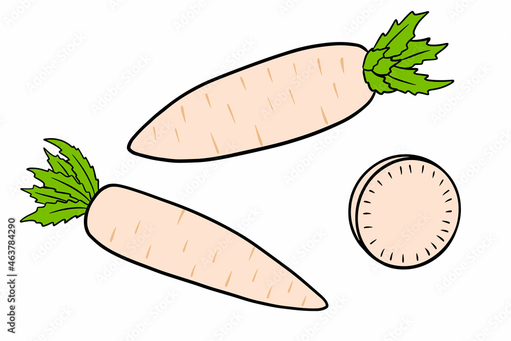 Daikon set. Fresh daikon and sliced wedges. Daikon set. Fresh daikon and sliced wedges.