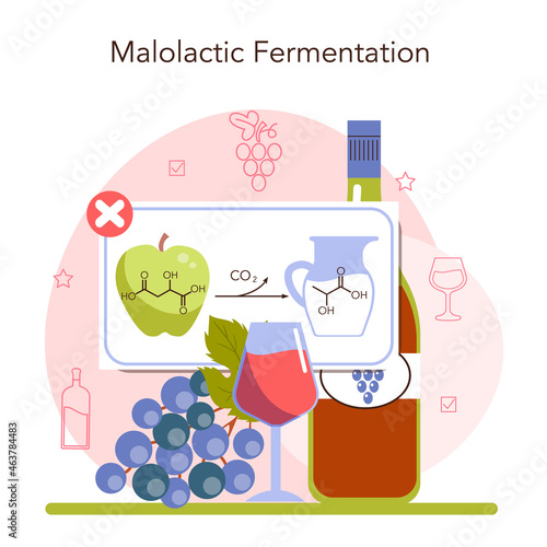 Wine production concept. Grape wine in a bottle or glass. Alcohol drink