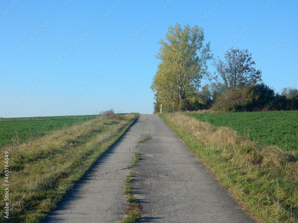 Fototapeta premium countryside road in autumn near Eisingen, Franconia, Bavaria, Germany