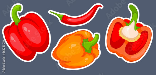 Pepper set. Fresh bell peppers and hot peppers.