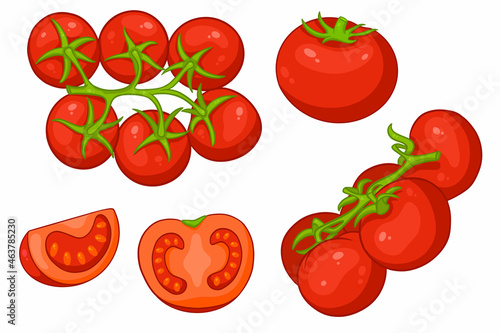 Tomatoes set. Fresh tomatoes, tomatoes on a branch, a wedge and a half.