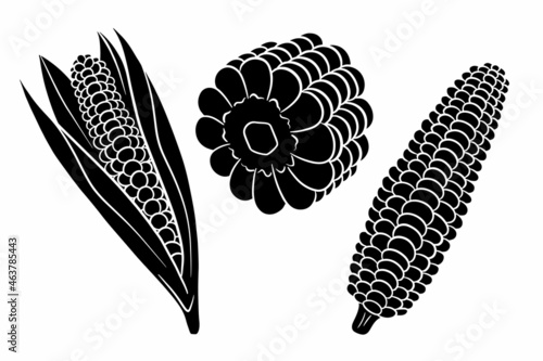Corn set. Fresh corn cobs with and without leaves.
