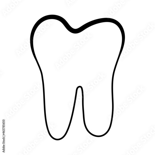 Anatomical shape of dental dentin enamel pulp, vector structure of teeth with logo for dental clinic