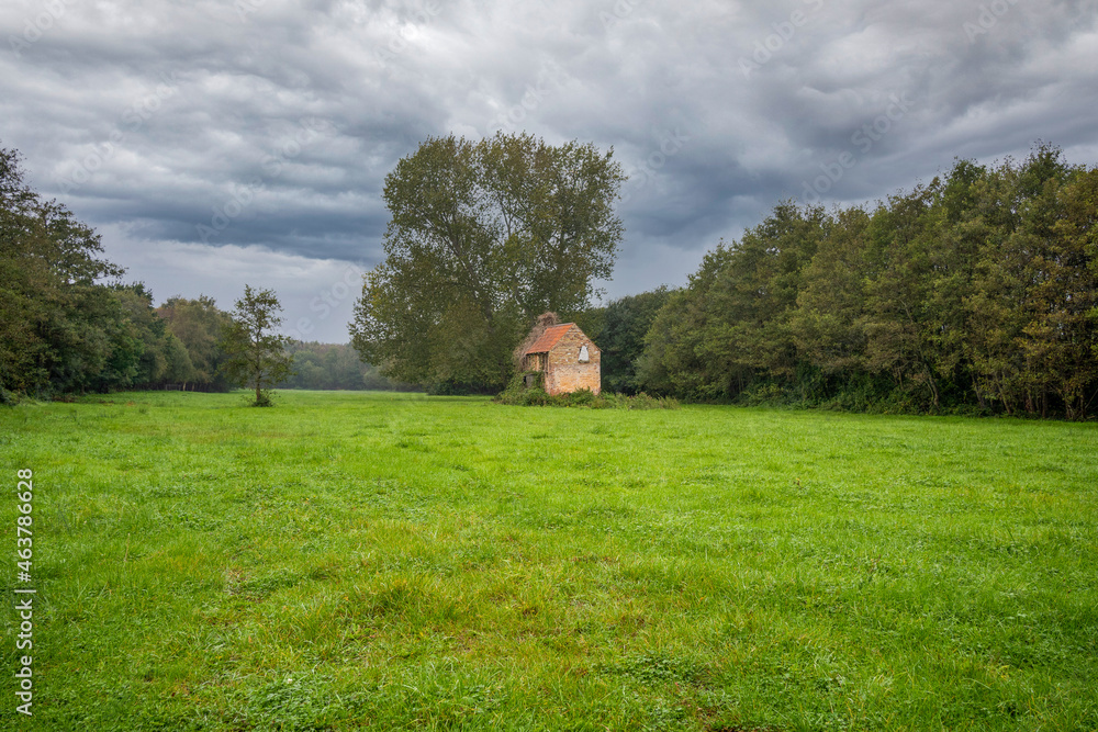 old derelict abandoned farm building barn cottage isolated in a field surrounded by woodland on a flood plane - obrazy, fototapety, plakaty 