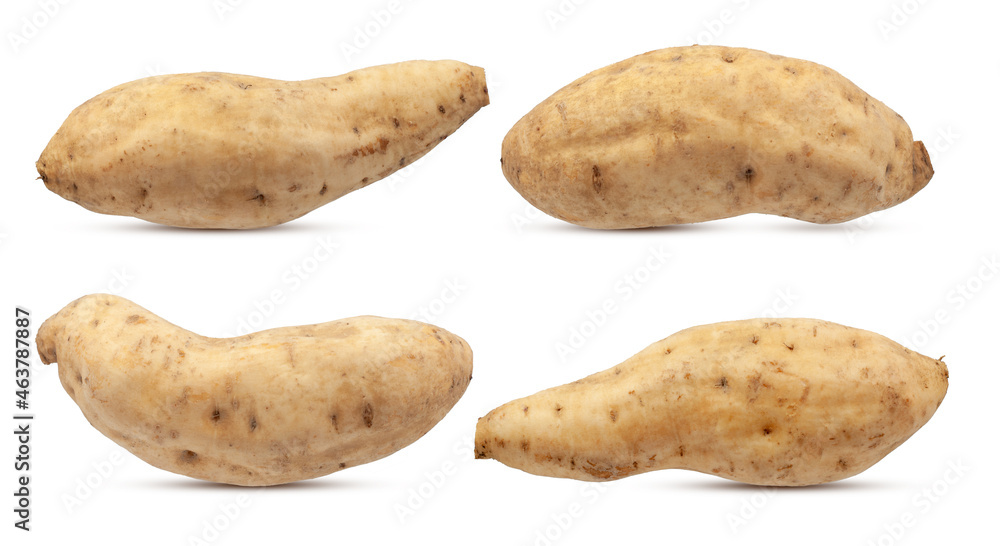 Sweet potato isolatedon white background Sweet potato isolatedon white background