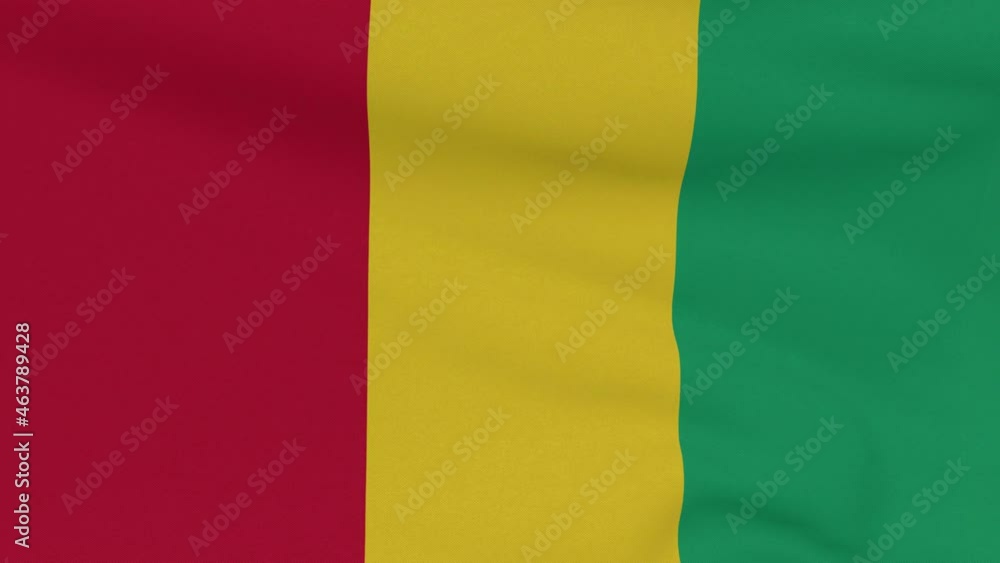 flag Guinea patriotism national freedom, seamless loop flag Guinea patriotism national freedom, seamless loop