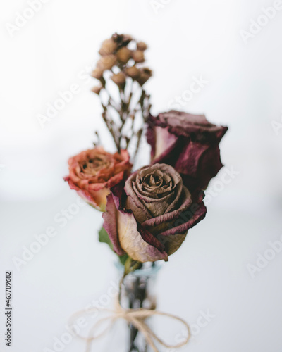 出窓の花瓶に飾られた薔薇のドライフラワー