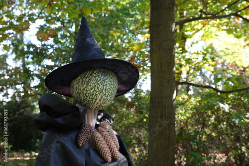 Halloween festival. Autumn Backgraund. Decoration. Halloween hats. Pumpkin