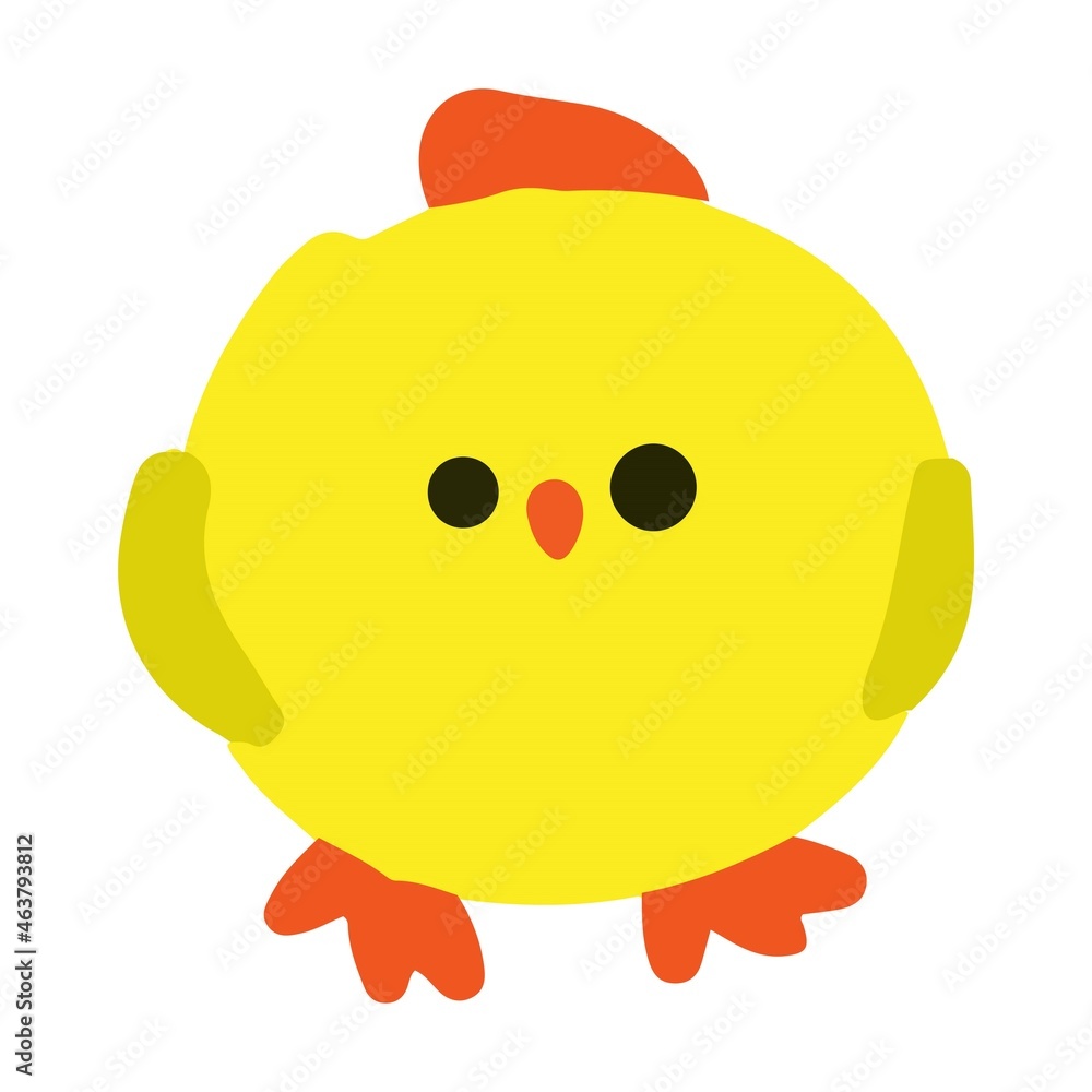 Little chicken in color on a white background