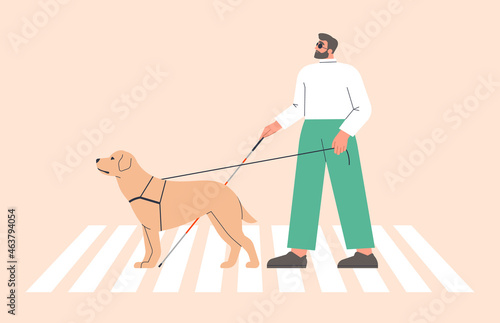 Man with a guide dog walking. Person who is visually impaired or blind crossing a street crosswalk with a cane and seeing-eye labrador. Inclusive city space. Isolated flat vector illustration